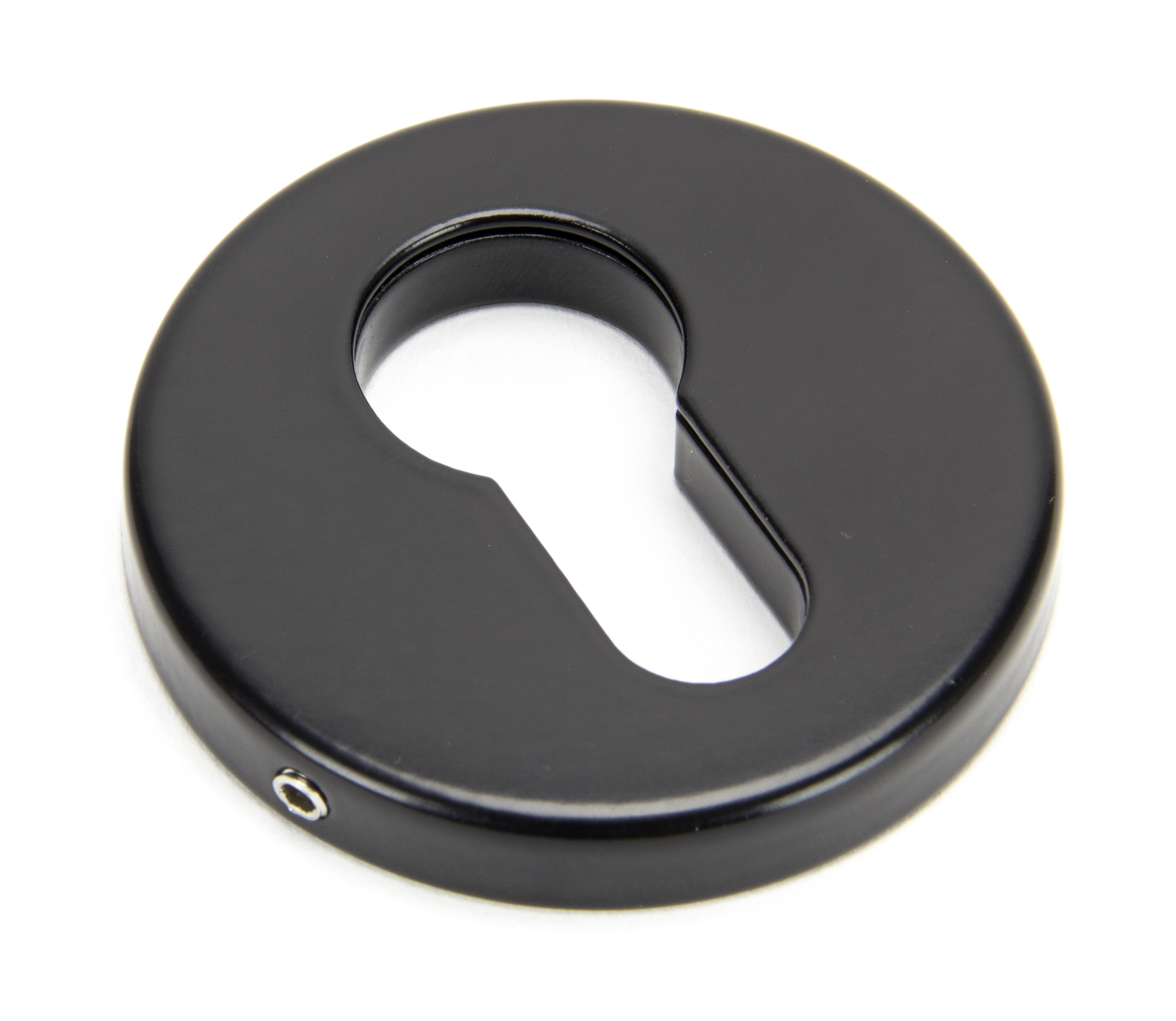 Regency Concealed Escutcheon - 52mm