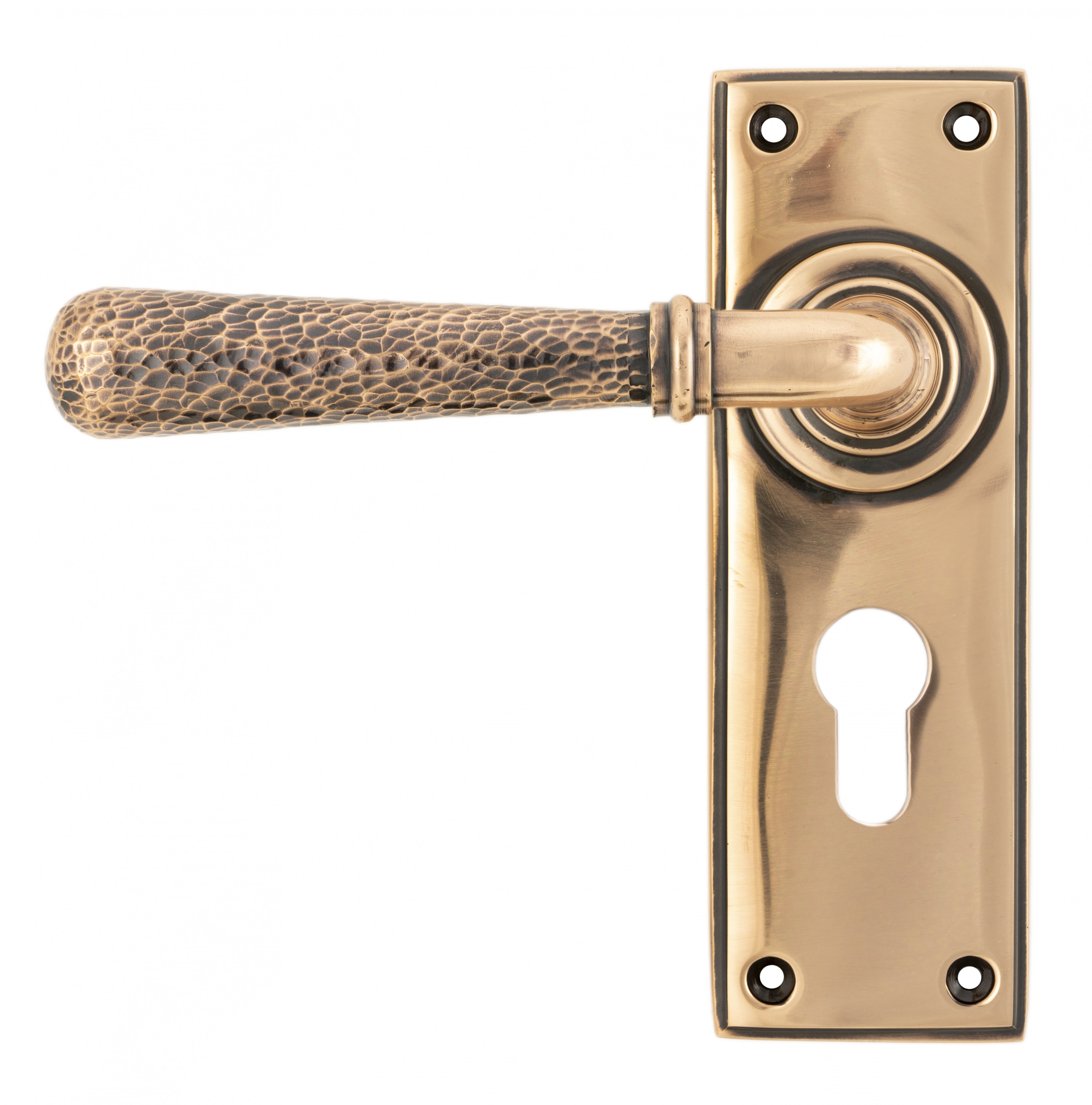 Newbury Lever Euro Lock Set