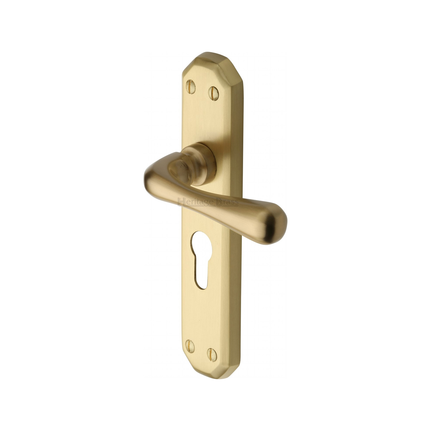 Heritage Brass Door Handle for Euro Profile Plate Charlbury Design