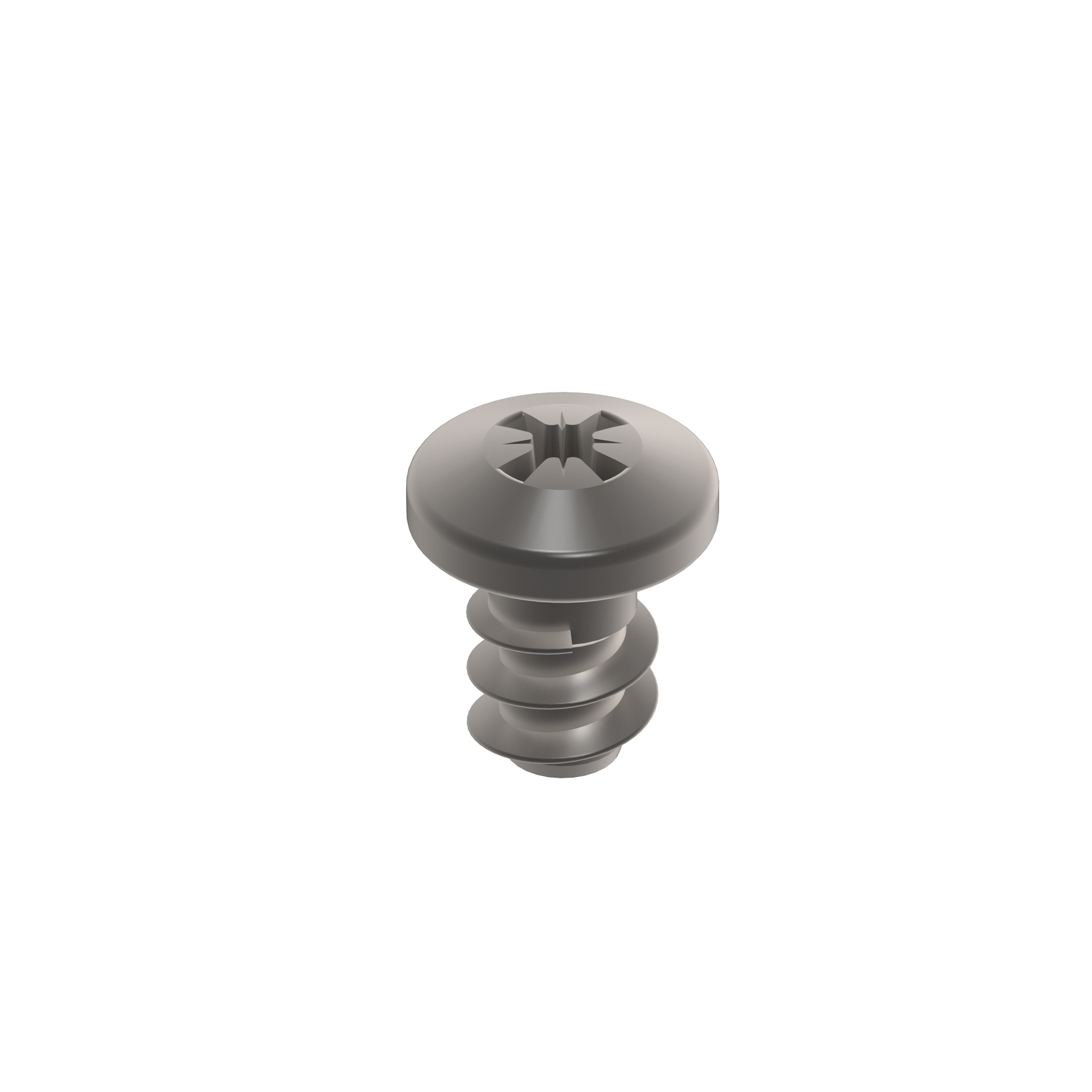 Fastmount Very Low Profile Stainless Steel Screw